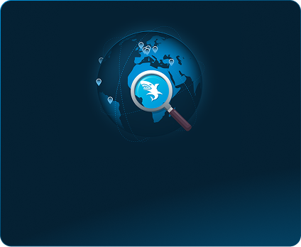 Rocks solid local execution through a network of world class partners