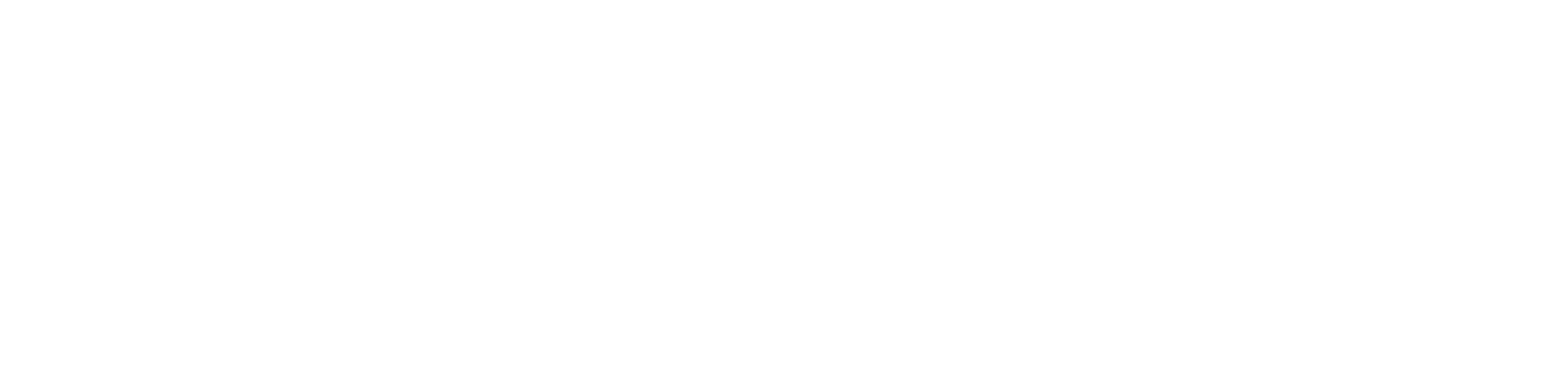 Videopress Partner